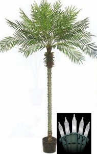 One 8 foot Artificial Phoenix Palm Tree Potted with Christmas Lights